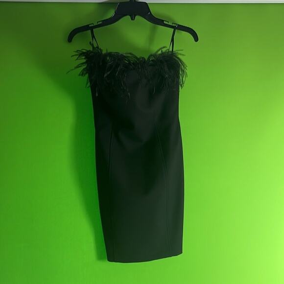 Marcella Lira $490 Black Strapless Dress with removable ostrich feathers Size 2 - Picture 6 of 9